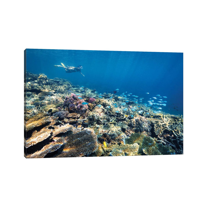 Underwater Reef With Snorkelling Girl by James Vodicka - Wrapped Canvas Gallery-Wrapped Canvas Giclée