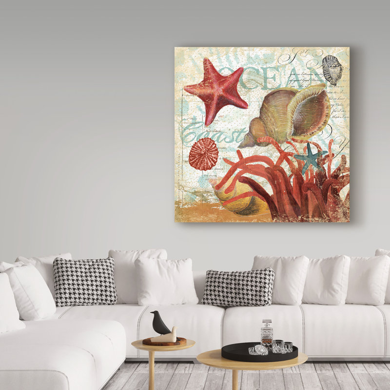 « shell collector ocean », reproduction d’impression sur toile tendue, H 14 po x l 14 po x P 2 po