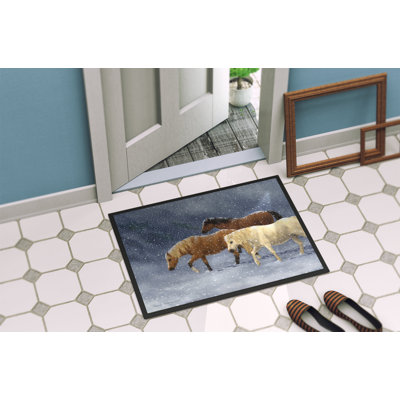Non-Slip Outdoor Doormat