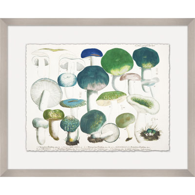 Modern Mushrooms 4 Print