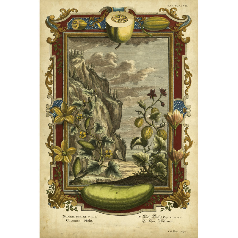 Genesis Fruits I - Wrapped Canvas Print, 46cm H x 30cm W 