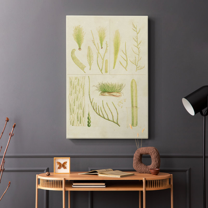 Herbe de mer rétro VI - galerie Cavas, H 27 po x l 18 po