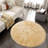 Chastina Faux Sheepskin Indoor Rug-504440766