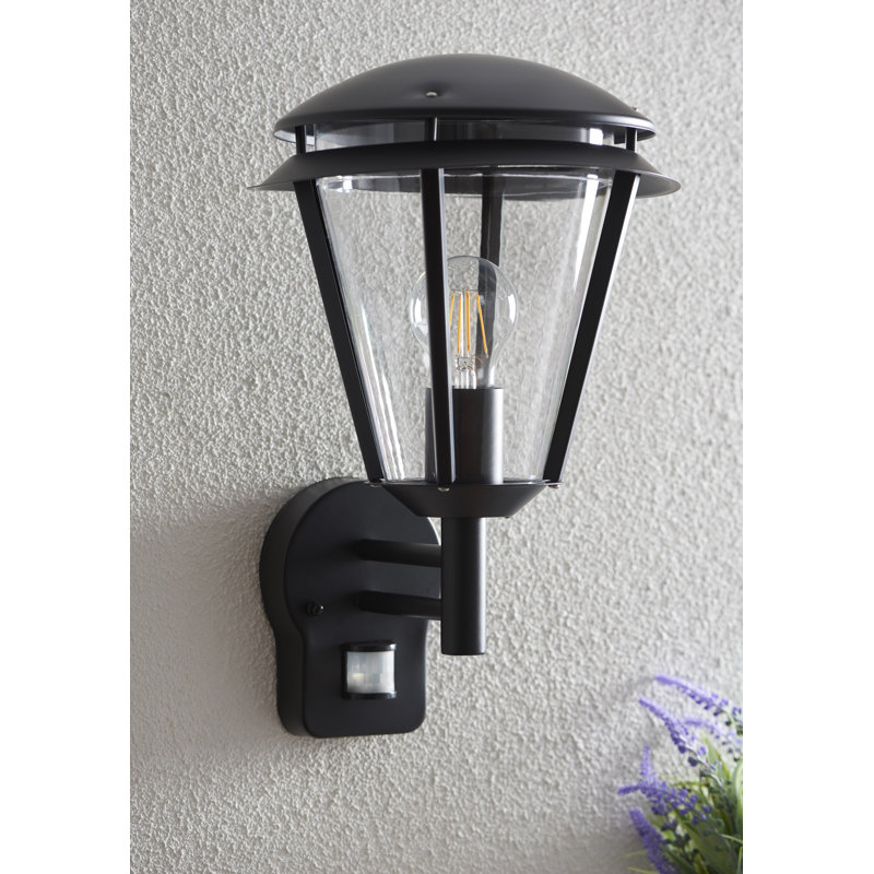 Nellie 38cm H Outdoor Wall Lantern, Matte Black