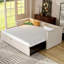 Borchert 2 Seater Fabric Sofa Bed-124004612