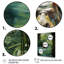 «Hippo Secret Hideaway 1 - Hippopotamus», art mural-129761480-129761484