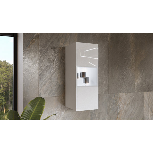 Bronx Display Unit Ivy Bronx Branda Wall Mounted Display Cabinet | Wayfair.co.uk