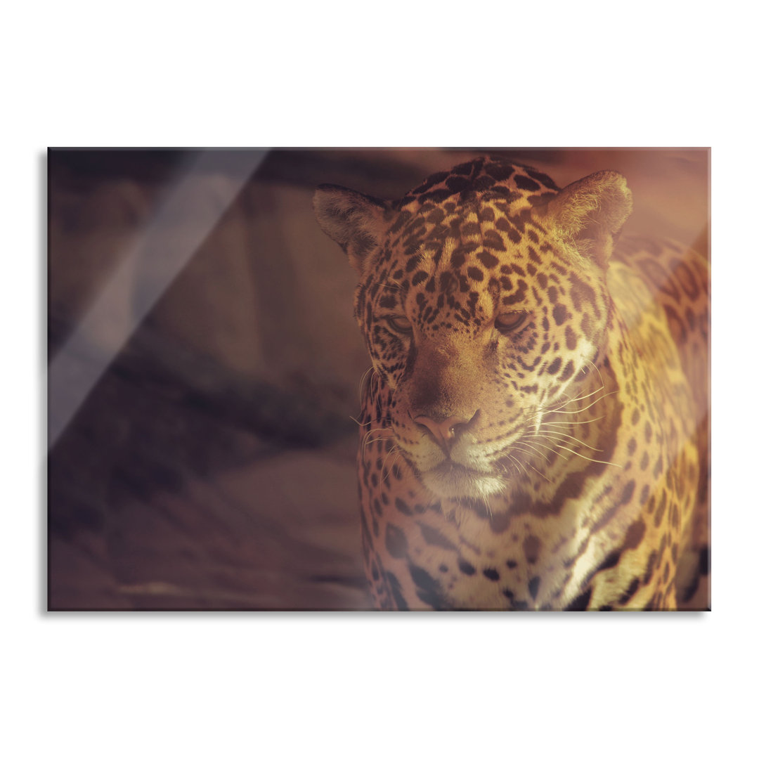 Glasbild Anmutiger Leopard