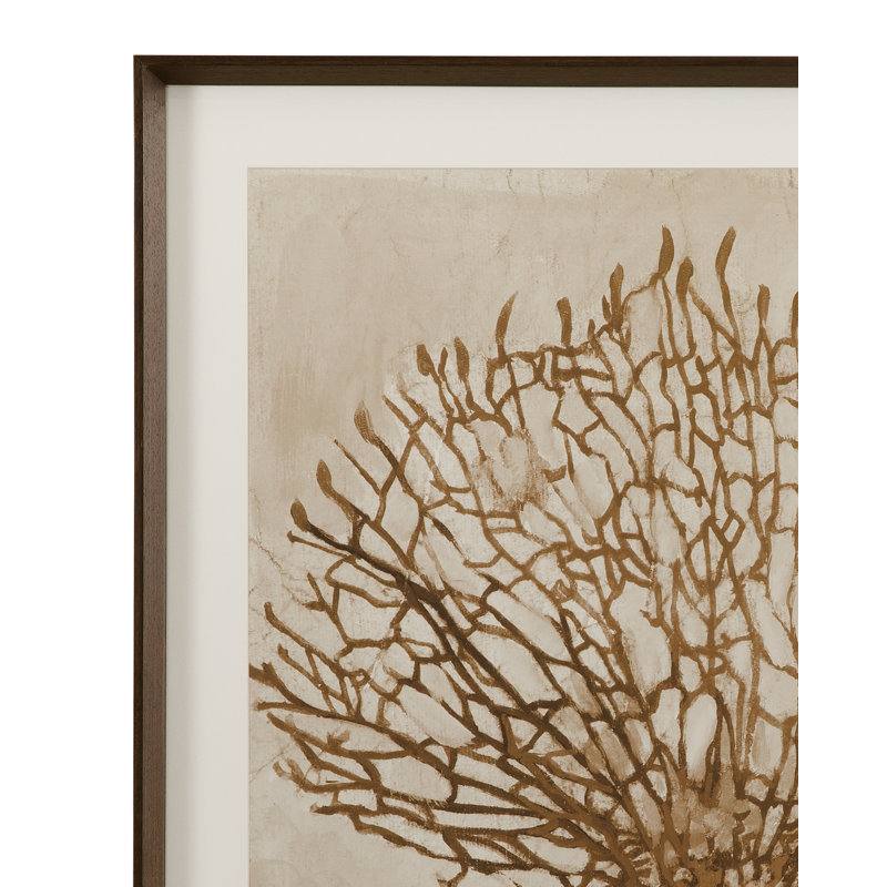 Neutral Seafan Framed Print