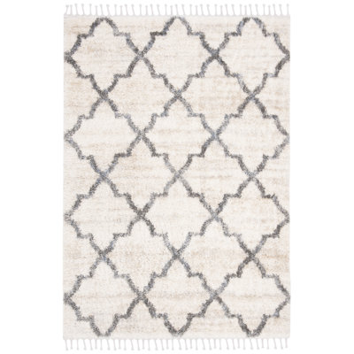 Barnard Geometric Hand Woven Area Rug