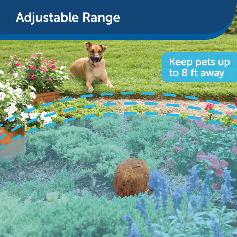 PetSafe Outdoor Pet Barrier with Waterproof Rock Transmitter