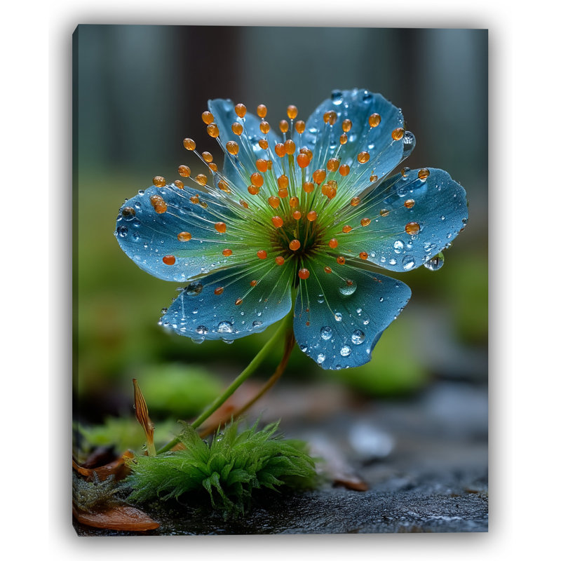 "Raindrop Bloom" Wrapped Canvas Wall Art