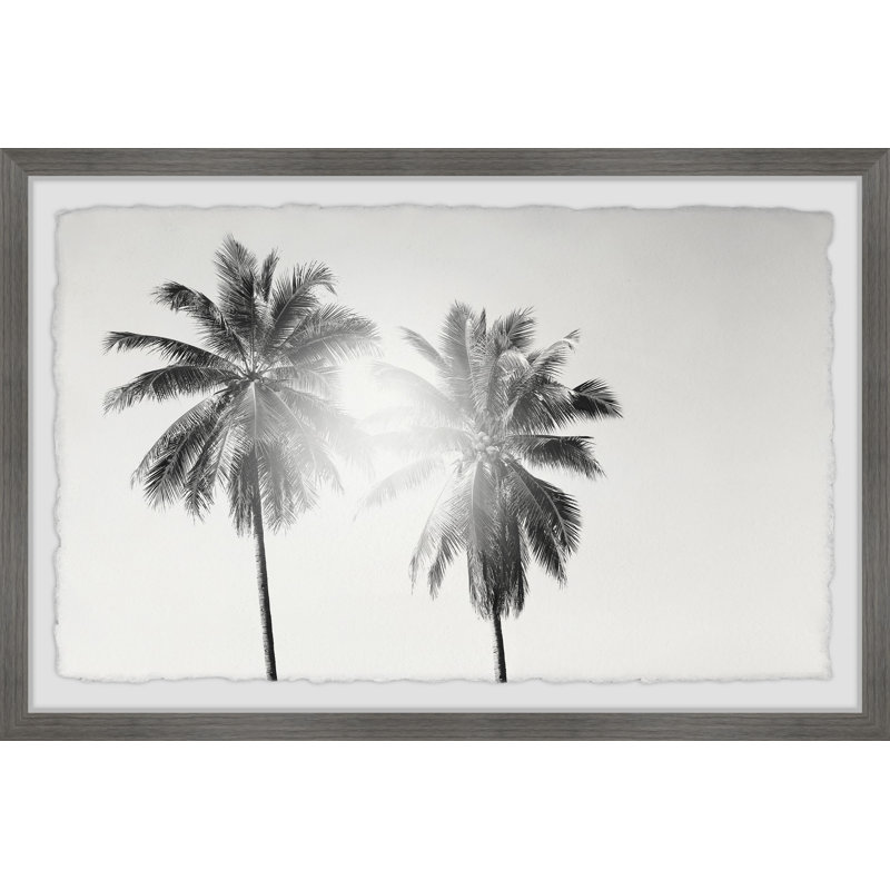 Light From The Palm - Single Picture Frame Print, 41cm H x 61cm W x 3.81cm D