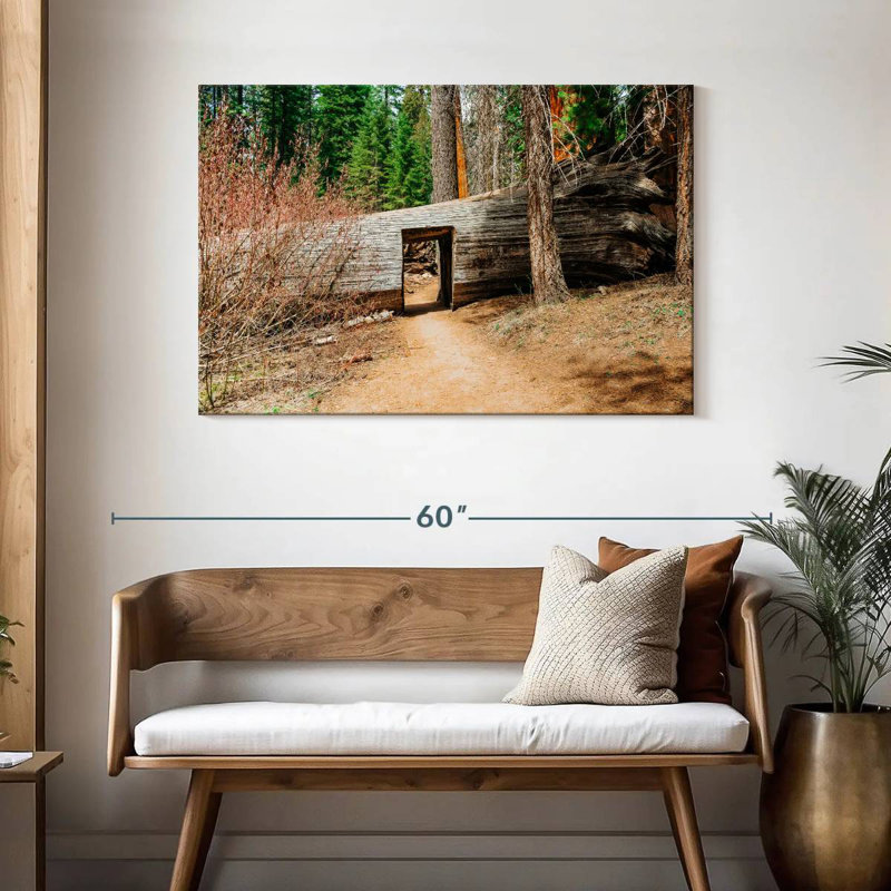 Harnek Tunnel Tree, 30" H x 45" W