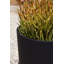 Pot à fleurs Pure Series-69930339-57370073-57370072