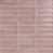 Polvo Pink