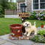 Statue de jardin Labrador