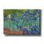 «Irises» par Vincent van Gogh, art mural sur toile-1532372138