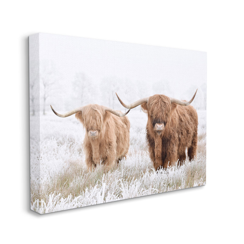 Vaches Longhorn dans la neige, H 16 po x l 20 po x P 1,5 po