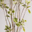 Cotinus Coggygria artificiel en pot vert-23267587