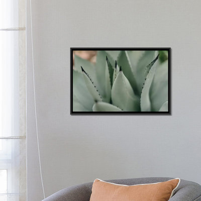 «Mint Succulent II», reproduction de photo sur toile
