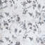 Naomi Garden Fabric