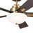 52'' Ceiling Fan with LED Lights-1614424767