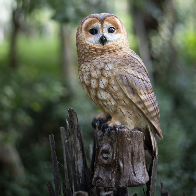 Brown Owl on branch | Handcrafted Decorative Bird Statue for Home & Garden | Premium Polyresin, Weather-Resistant Indoor/Outdoor Decor