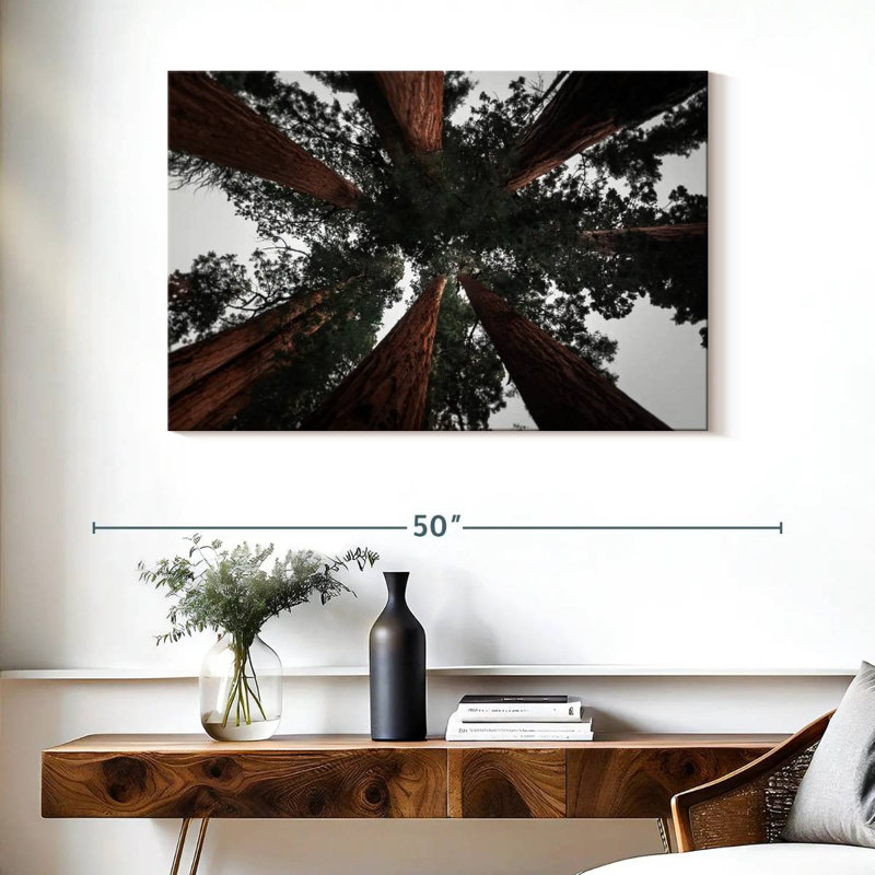 Redwoods de Harnek en Californie, H 26 po x l 39 po