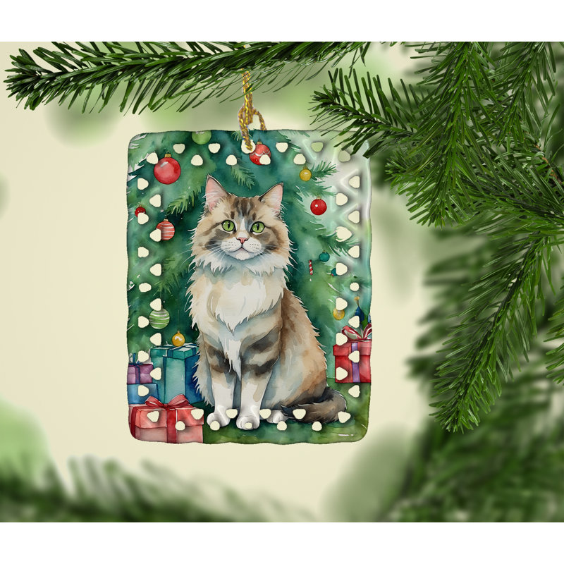 Ornement en porcelaine Ragamuffin, Ragamuffin Cat