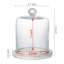 Cloche Or Water Globe