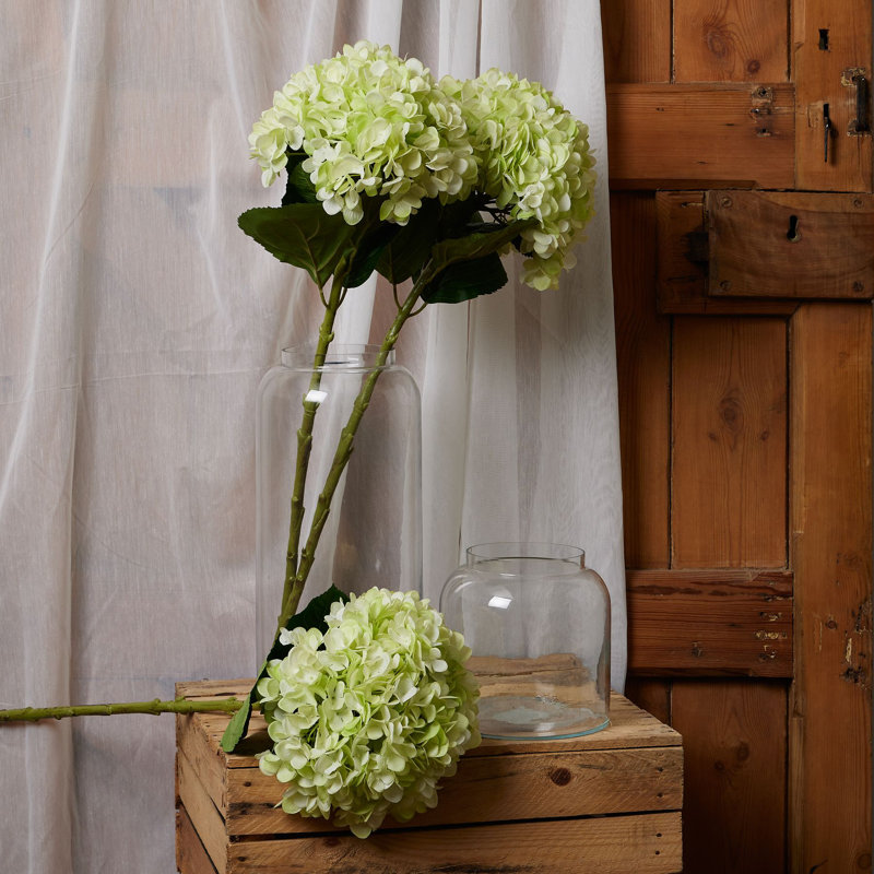 Hydrangea Arrangement