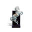 Horse on Courbette Figurine