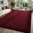 Shahen Rectangle Shag Area Rug-738442617-778986046