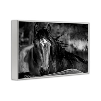 Giclée encadrée d'un cheval de présence, conception par Wendy Caro