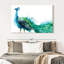 Proud Peacock Splash-990378524