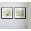 Sage Garden I - ensemble de 2 reproductions de cadres photo-392647621