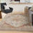 Oriental Indoor Rug-1183045524
