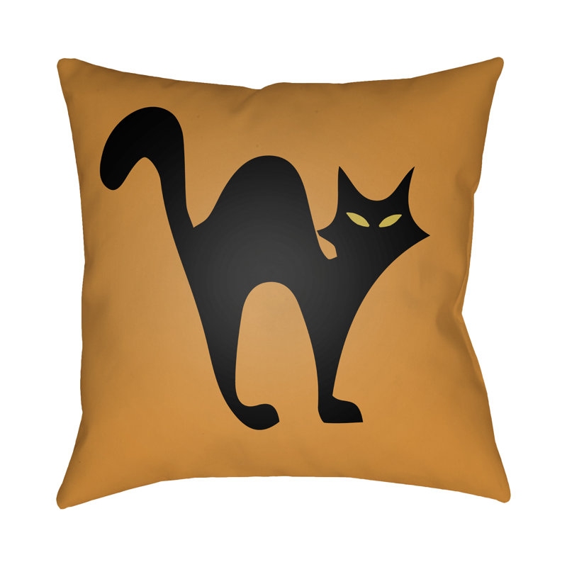 Indoor/Outdoor Throw Pillow, 20" H x 20" W x 4" D, Light Orange