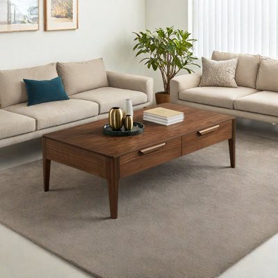 Nordic Minimalist Style Coffee Table
