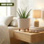 Pot Planter