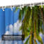 Plage tropicale, ciel bleu, palmiers, belle côte de noix de coco avec 12 crochets-341315714