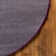 Capwell Performance Indoor Rug