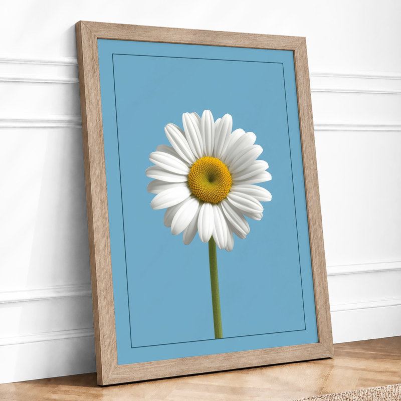 Single Daisy Study Botanical - Framed Print, A2 - 59.4 x 42.0 cm, Oak