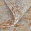 Tapis orange à motif abstrait moderne Tarlisha-1565166745