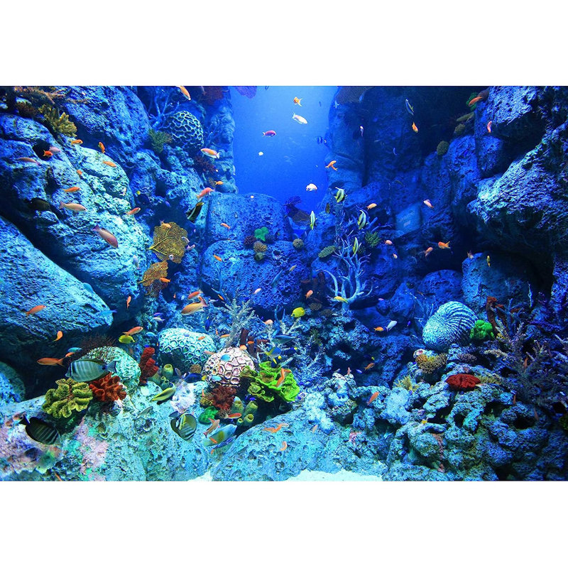 Blue Undersea Fish Sealifes Paintable Wall Mural, 66" L x 96" W