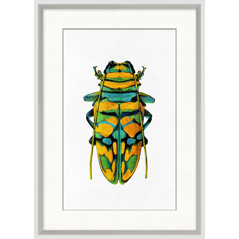Rainbow Insect 6 Wall Art & Signage by Lillian August