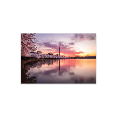 Fleurs de cerisier, Monument de Washington