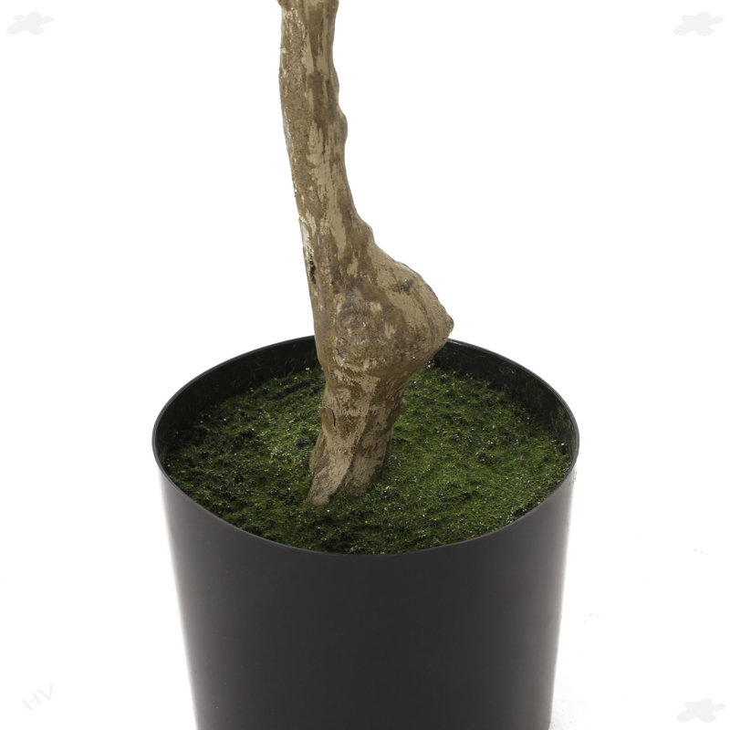 59.1'' Faux Bonsai Tree