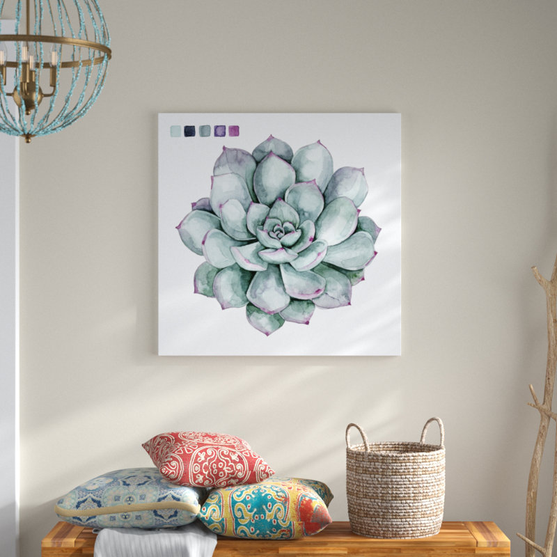 Succulent Swatches II by Grace Popp - Wrapped Canvas Painting, 91cm H x 91cm W
